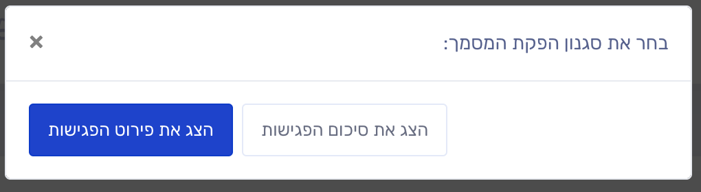 בחירת תצוגת פירוט או סיכום