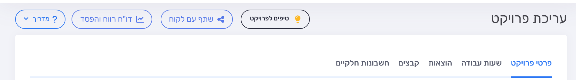 הכפתור דוח רווח והפסד בראש מסך הפרויקט